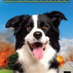 Mr Pickles